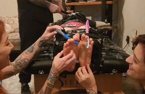 Fettish   GTA   Tickle Table   Violet