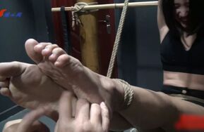 训练·思丹2023版