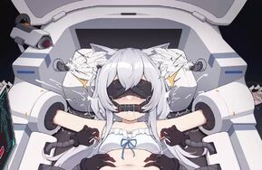 橘子 迷迭香猫猫