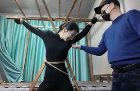 绑架十一第三季上（在线播）