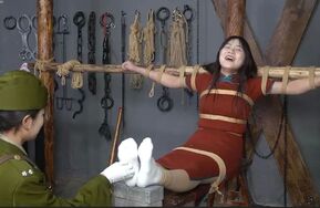 枪下红颜（在线播）