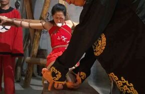 怀旧影苑-女神捕-完整版（在线播）